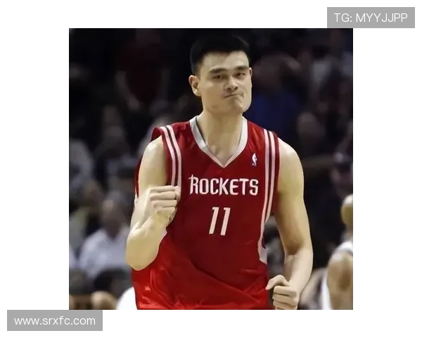 观众看到姚明的瞬间感动与篮球传奇交织的美好时刻